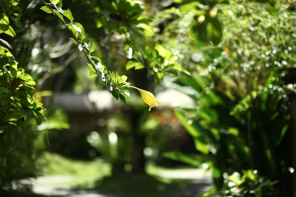 Hotel Bali Agung Village - Chse Certified Seminyak
