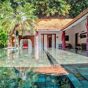 The Secret Jungle Seminyak (Bali)
