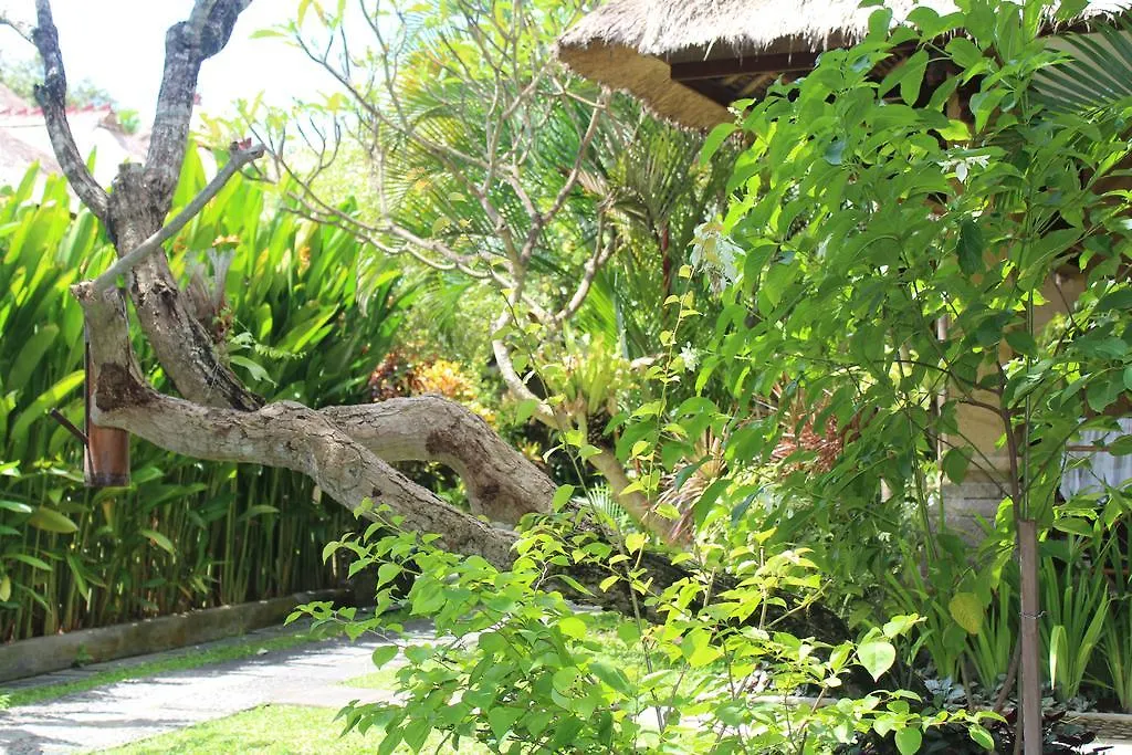 Bali Agung Village - Chse Certified Seminyak  Seminyak (Bali)